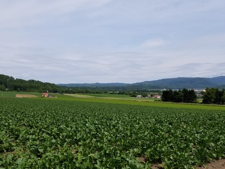 20190627_095944
