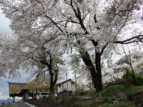 DSCF5139