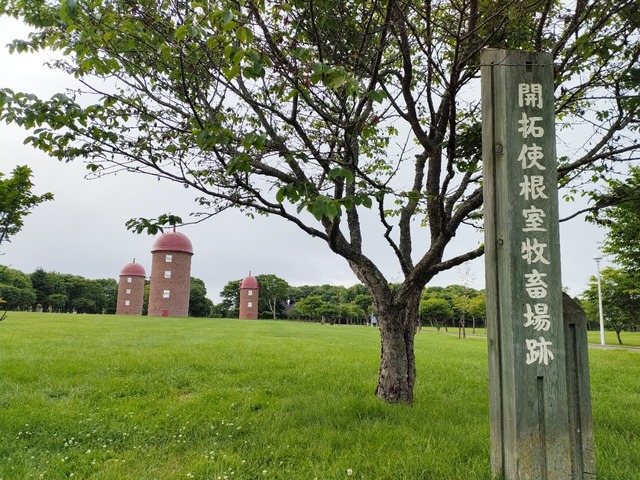 IMG20250710173138