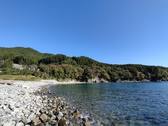 IMG20231018090542