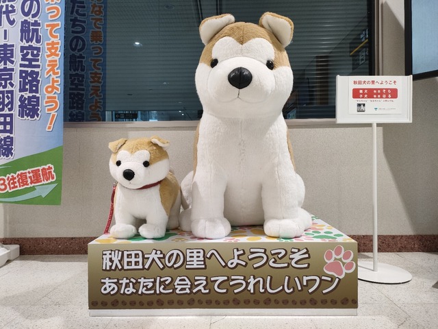 IMG20240516092531