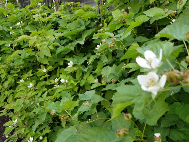 20190619_082608
