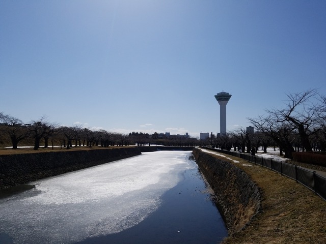 IMG_20210309_105911