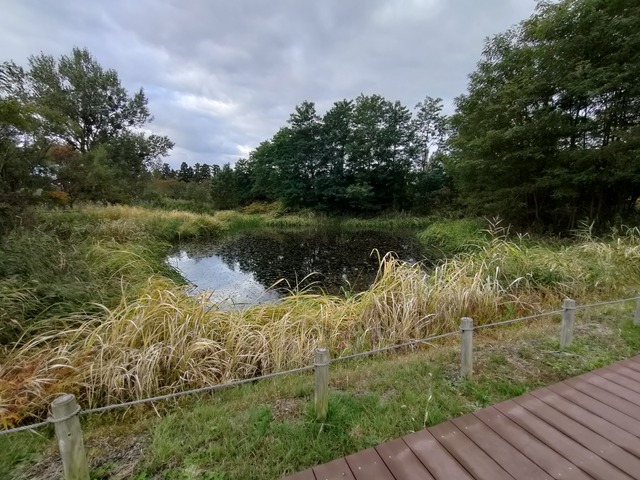 IMG20221020073535
