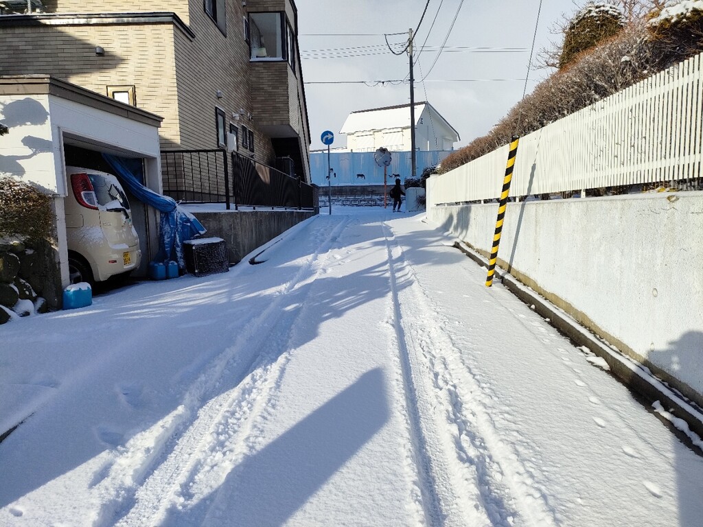 再び寒波襲来❗️一晩で10cm近く積雪 : 函館発 ぼうけんの旅