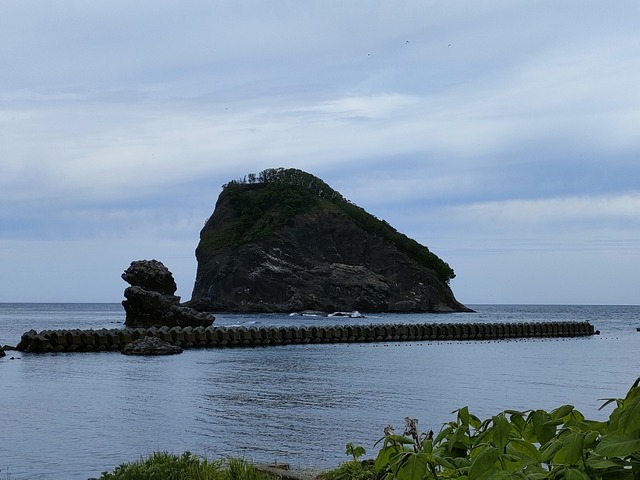 IMG20260524100529