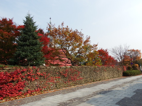 DSCF7579