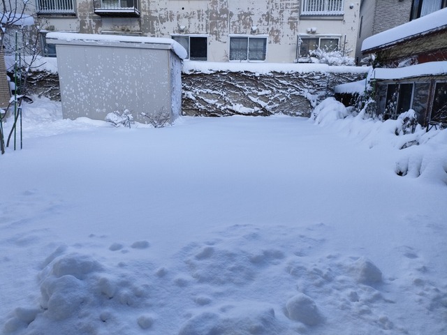 IMG20221215092535