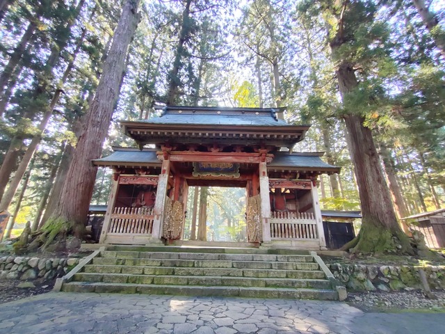 IMG20241013082037