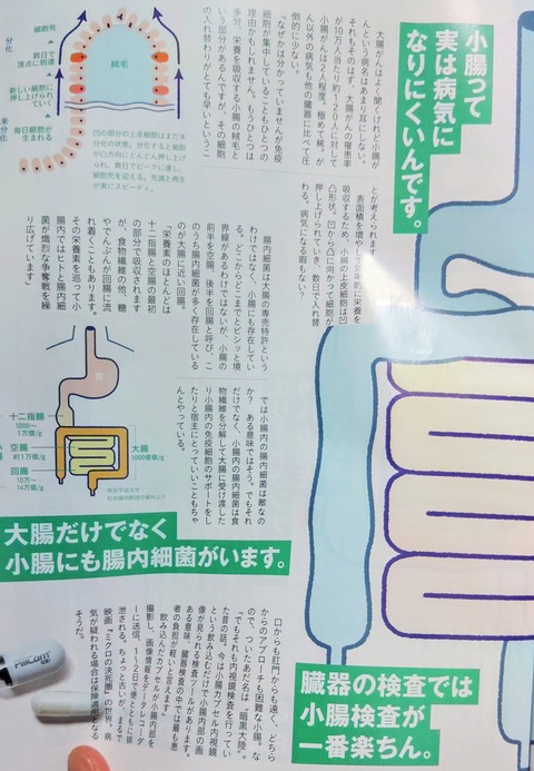 KIMG8720~2