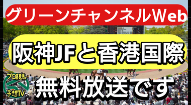 阪神ジュベナイルfと香港国際競走はグリーンチャンネルが全て無料放送です 画質の設定など シンデレラがガラスのくつをはいたら逮捕されちゃいました