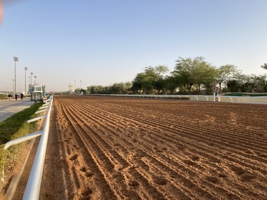 1800mstart-scaled (1)