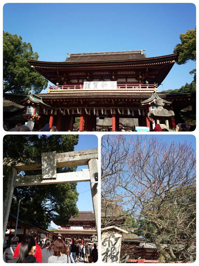 福岡すば散歩日和 つれづれなるままに