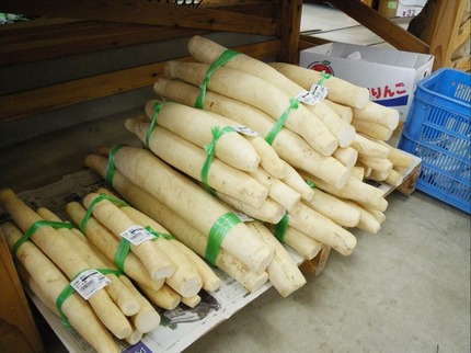 2010115-daikon