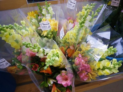 2010115-hana