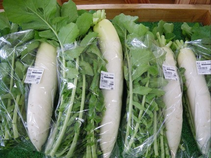 2010111-daikon