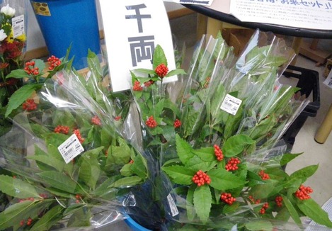 20101222-senryo