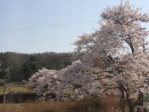 2012-04-28-14-34-59