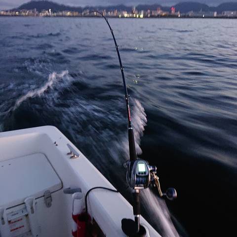 サワラゲームは面白い ショウヘイの大阪湾ボート釣り日記