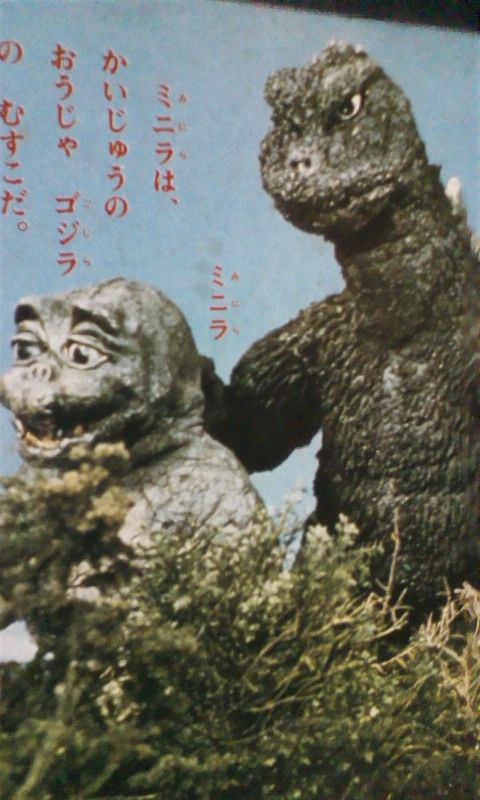 ミニラ 一歩ずつ歩くよ ぼちぼちブログ ミニラ 一歩ずつ歩くよ ぼちぼちブログ