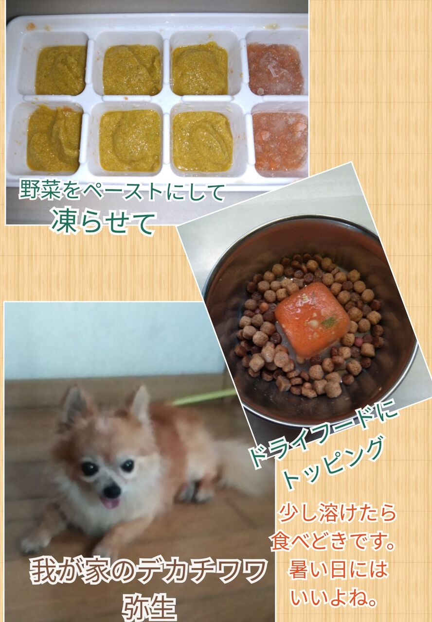 ひんやり犬ご飯 一歩ずつ歩くよ ぼちぼちブログ ひんやり犬ご飯 一歩ずつ歩くよ ぼちぼちブログ