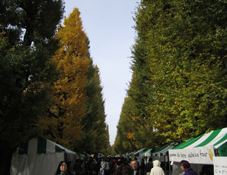 1e244176.jpg