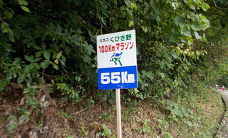 91def6e6.jpg
