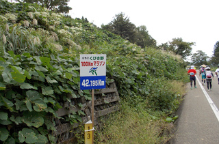 bca715b1.jpg