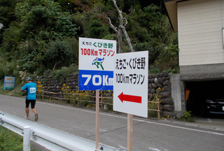 d5294026.jpg