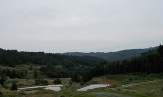e214790e.jpg