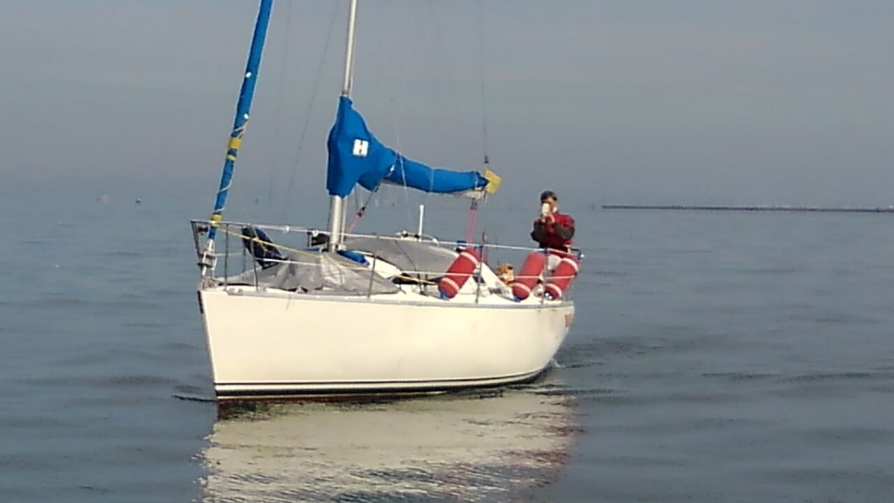 暖かい海 府中団地自治会