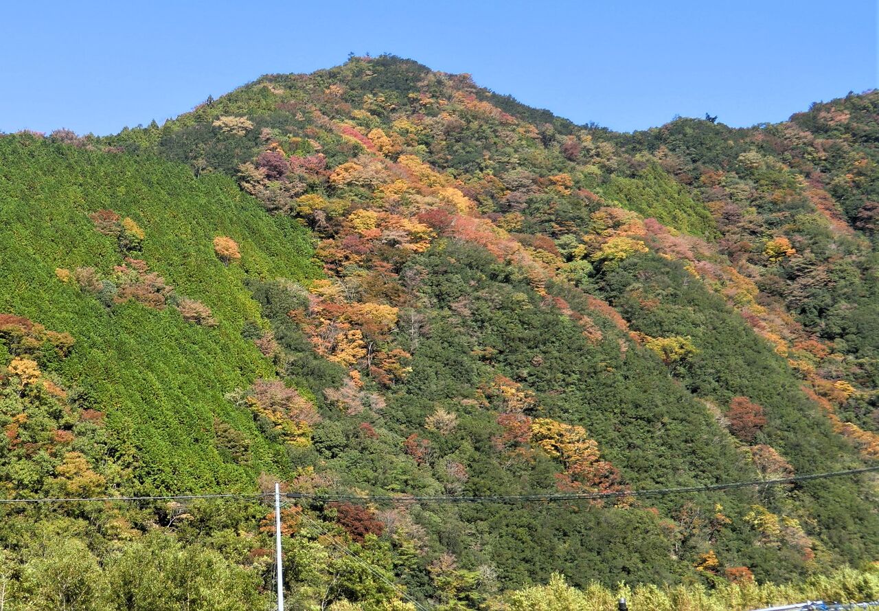 富里だより護摩壇山の紅葉コメント