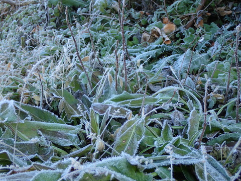 PC070160