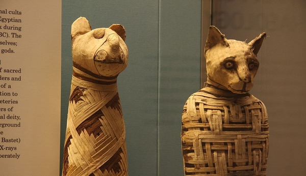 1200px-British_museum_Egypt_mummies_of_animals_4423733728