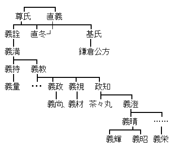 AAの画像化