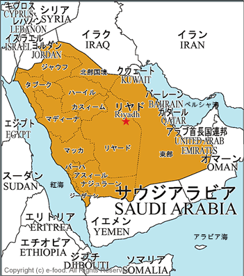 detail_saudiarabia