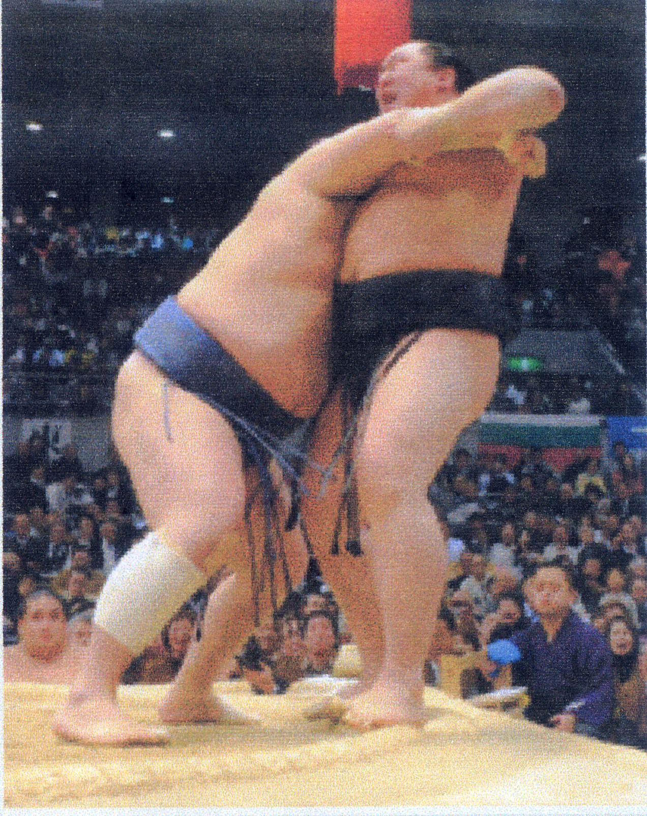 大相撲春場所１２日目 Oozumouのブログ