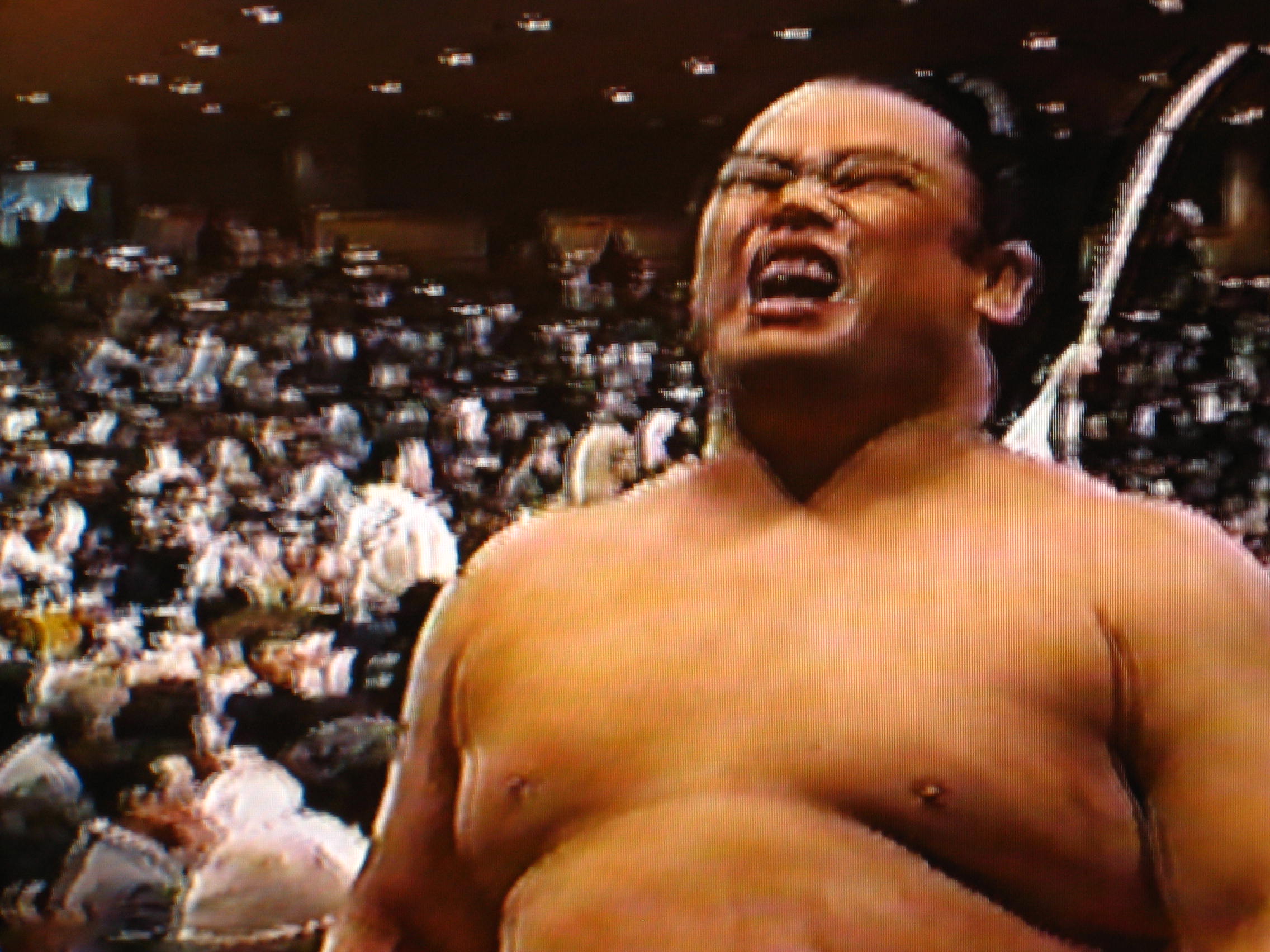 大相撲ブログ場所
