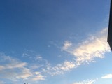 IMG_8783