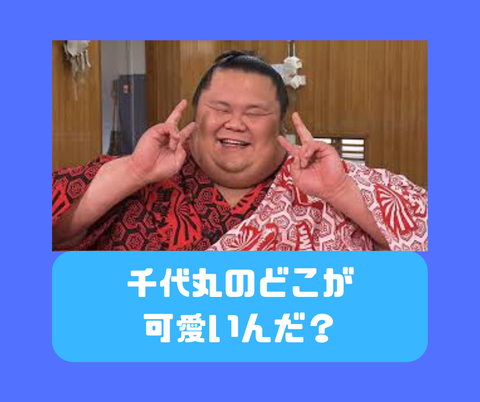 千代丸のどこが可愛いんだ 2ch大相撲 千代丸のどこが可愛いんだ 2ch大相撲
