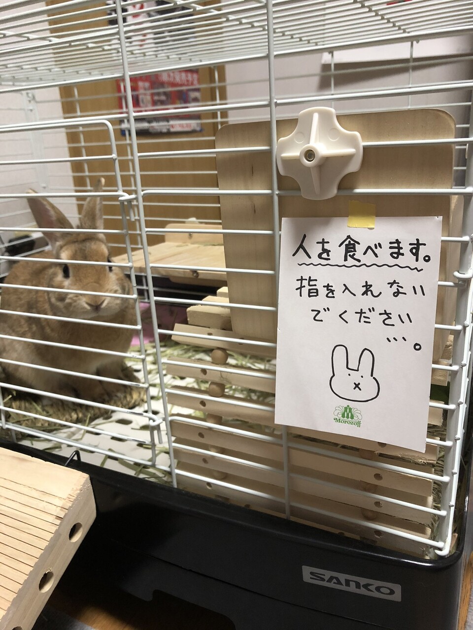 2ch大相撲 画像で吹いたら寝ろｗｗｗｗｗｗｗｗｗｗｗｗｗｗｗｗ
