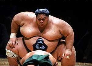 2ch大相撲 画像あり 千代の富士の筋肉やばすぎん