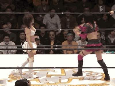 2ch大相撲 Gif 日本の女子プロレスが激しすぎるとワイの中で話題に