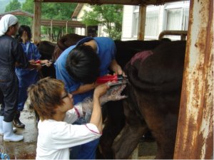 研修医が内診に同席 筋腫で5回手術 uae10回 体験者は語る 皆一緒に乗り越えよう 研修医が内診に同席 筋腫で5回手術 uae10回 体験者は語る 皆一緒に乗り越えよう