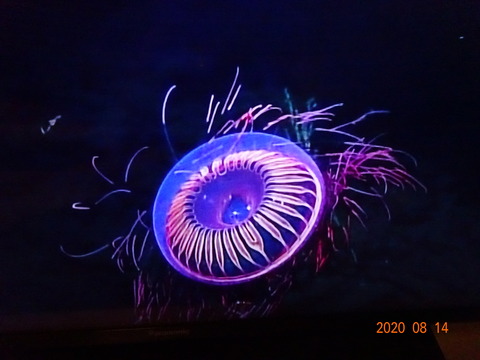 DSC00902
