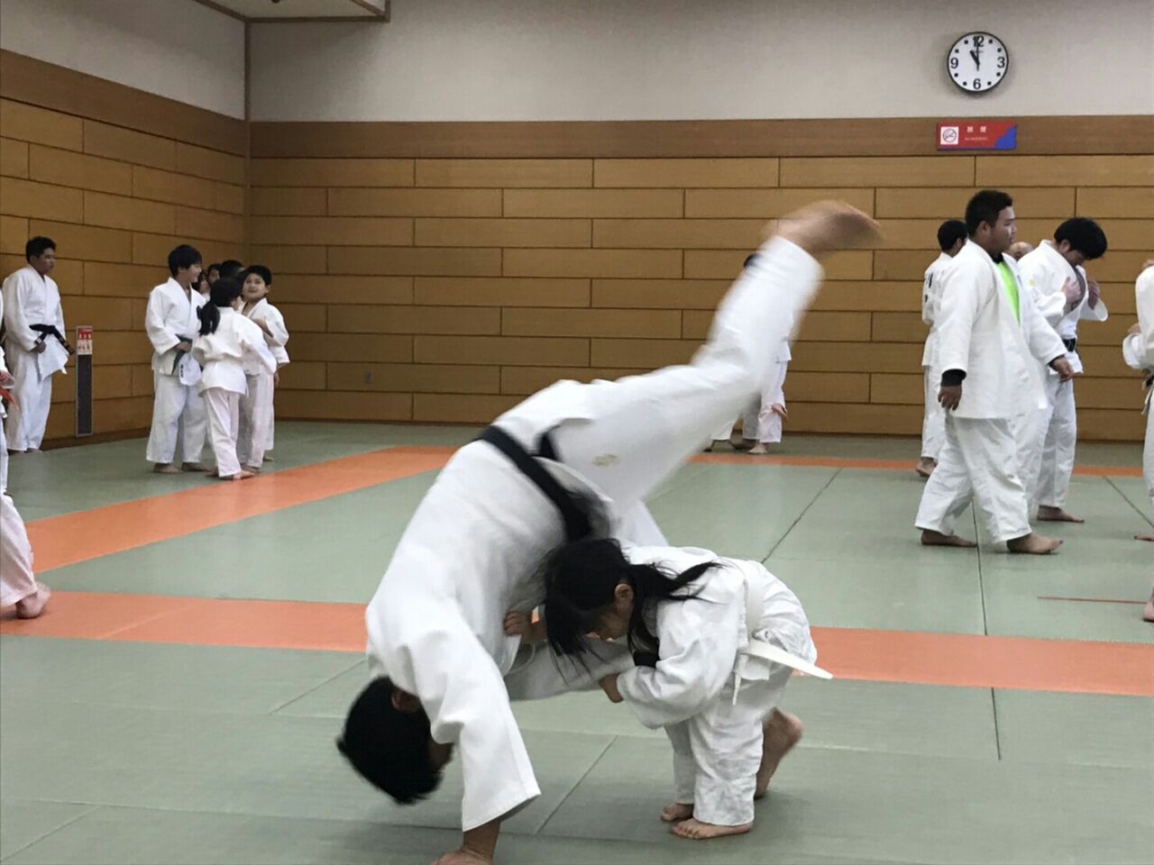 試合 追浜柔友会 試合 追浜柔友会