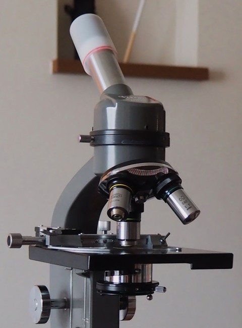 ビクセン F-1500 VIXEN (ビクセン) 双眼鏡 コンパクトズームシリーズ