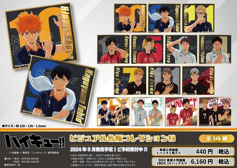 【アニメノンジャンル色紙】大量まとめ売り85枚セット　ビッグ色紙　等 1016d64e-s.jpg