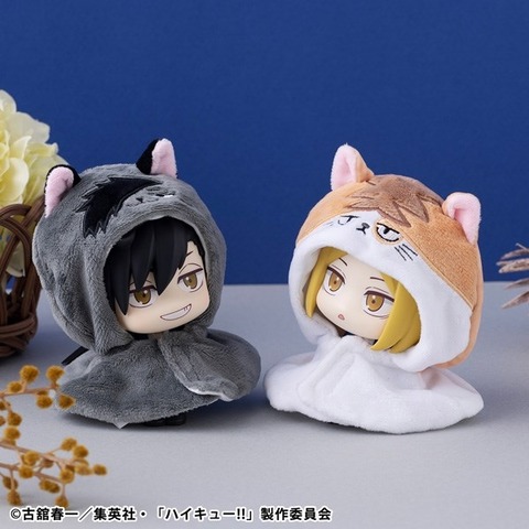 resize_image