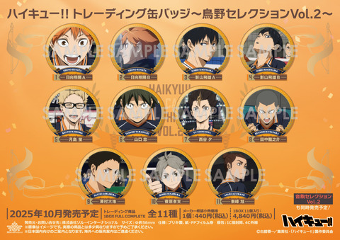 ハイキュー 缶バッジ  音駒 烏野セレクション ハイキュー!! トレーディング缶バッジ～音駒セレクションVol.2～（12個